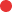 Ikonka